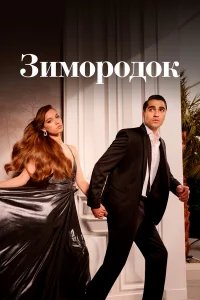 Зимородок бесплатно в HD